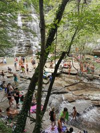 High angle view of people in forest