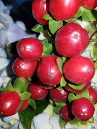 Close-up of strawberries