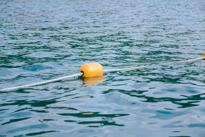 High angle view of yellow floating on water