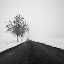 Road by tree against sky during winter