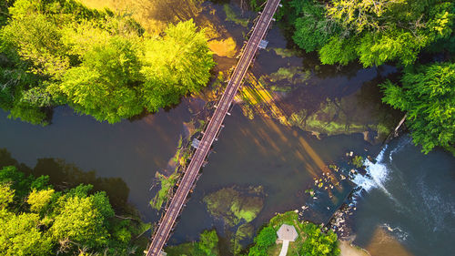 High angle view of plants by river