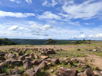 Scenic view of landscape against sky