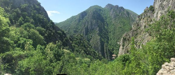 Panoramic shot of trees on landscape against sky