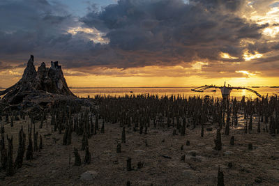 Panoramic view of wooden posts on land against sky during sunset