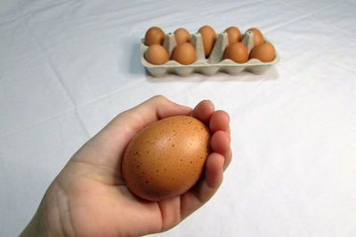 High angle view of hand holding eggs