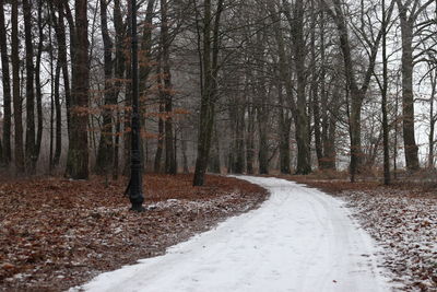 Road amidst trees in forest during winter