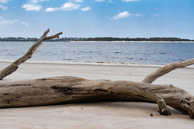 Driftwood on beach against sky