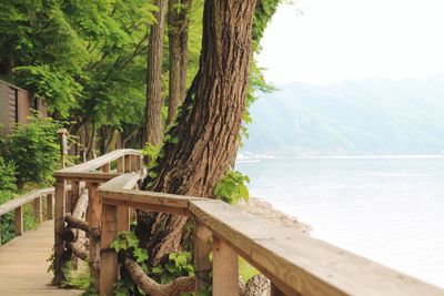 Scenic view of tree by mountain against sky