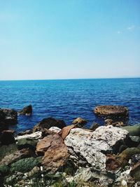 Scenic view of sea against clear blue sky