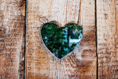 Close-up of wooden plank