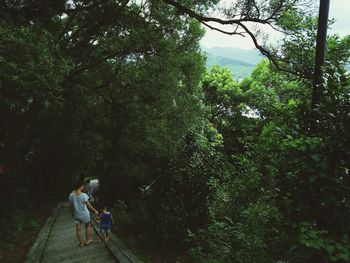 High angle view of mother with son walking on pathway amidst trees