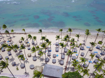 High angle view of plants by sea