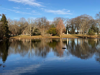 Scenic view of lake