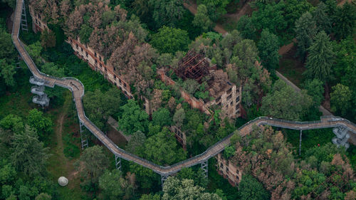 Aerial view of trees by building on mountain