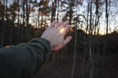 Cropped hand of man gesturing against trees during winter