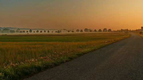 Scenic view of agricultural field against sky during sunset