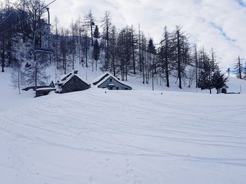 Trees on snow covered landscape against sky