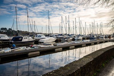 Sailboats moored in harbor