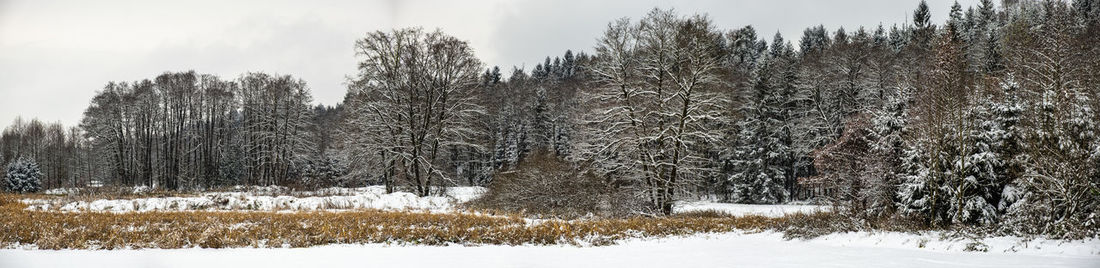 Trees on snow covered field against sky