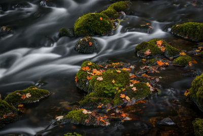 Close-up of water flowing over river