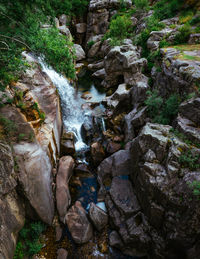 Stream flowing through rocks in forest