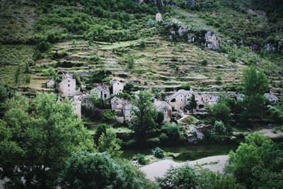 High angle view of trees and buildings