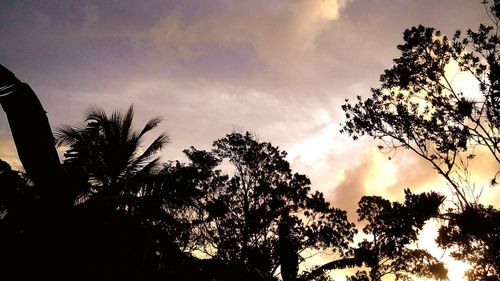 Low angle view of silhouette trees against cloudy sky