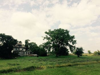 Trees on field against sky