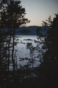 Silhouette trees by lake against sky during sunset