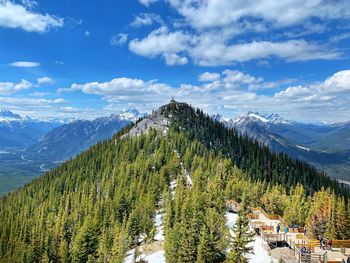 Pine trees on snowcapped mountains against sky