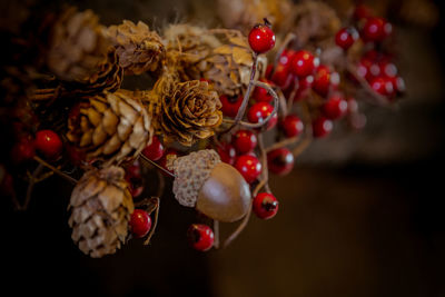 Close-up of cherries on tree