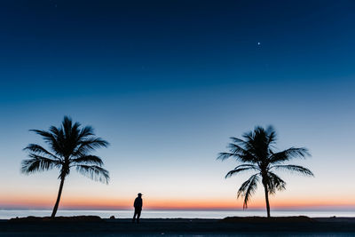 Silhouette palm trees on beach against sky during sunrise 