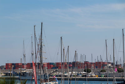 Sailboats moored at harbor