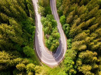 High angle view of road amidst trees in forest