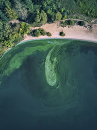 Scenic view of sea