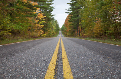 Empty road amidst trees