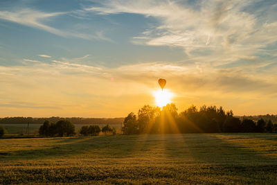 Sunlight streaming through trees on field against sky during sunset