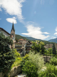 Trees and buildings against sky