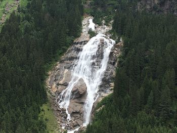 Scenic view of waterfall in forest