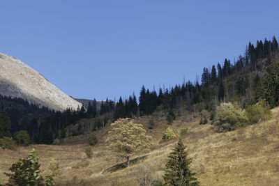 Panoramic view of landscape against clear blue sky