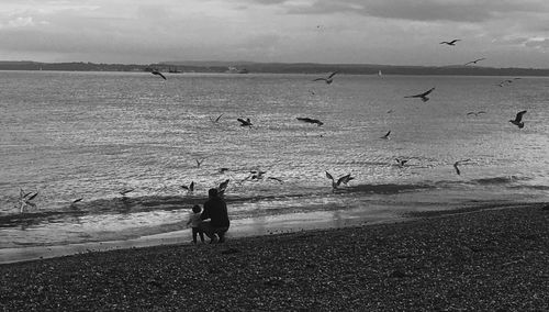 Birds on beach against sky