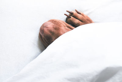 Close-up of man hand on bed