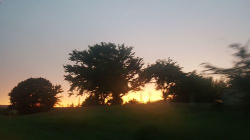Silhouette trees on field against sky during sunset