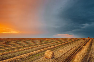 Scenic view of agricultural field against sky during sunset