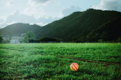 Scenic view of grassy field against cloudy sky