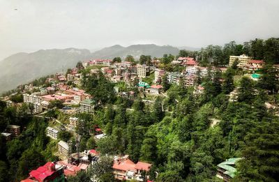 High angle view of trees and buildings against sky