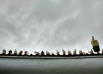 Low angle view of birds perching on building against sky