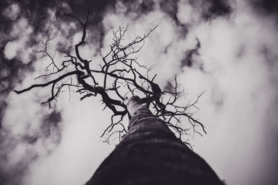 Low angle view of bare tree against cloudy sky