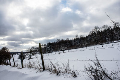 Trees on snow covered landscape against sky