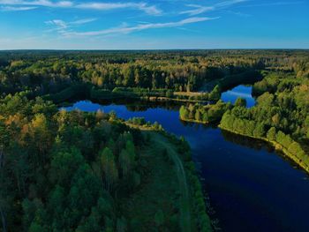 Scenic view of lake and trees against sky